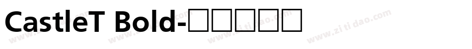 CastleT Bold字体转换
